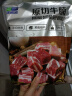天顺源 原切牛腩块1kg 进口草饲牛腩肉生鲜 清真牛肉 冷冻炖煮食材 实拍图