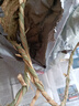 萌肉居草繩子干稻草簾捆綁樹(shù)木花木移栽包扎土球稻草繩/1卷約100米粗1cm 曬單實(shí)拍圖