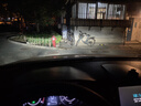 路泊斯特適用寶駿730 530 560 510 310W 630 RS5RC6 RM5汽車(chē)led大燈 寶駿560 15-17款【近光】2支裝 2支裝 曬單實(shí)拍圖