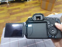 佳能(Canon)70D 80D 77D 60D 90D 佳能70d二手單反相機(jī)  佳能60D+18-55日常鏡頭【套機(jī)】 99新 曬單實(shí)拍圖