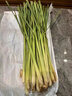 香茅草新鮮檸檬草香料食用奶茶店泡茶烤魚(yú)調料泰國冬陰功湯料原料 250g 曬單實(shí)拍圖