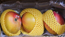 潤味來(lái)臺灣品種愛(ài)文芒 新鮮蘋(píng)果芒香甜多汁孕婦時(shí)令水果 2斤裝 曬單實(shí)拍圖