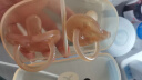 世喜婴儿安抚奶嘴0-3-6个月防胀夜用扁头新生儿1岁以上气带收纳盒 实拍图