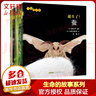 生命的故事系列第二輯全套10冊 誕生了3-6歲少兒童睡前故事昆蟲(chóng)記科普百科全書(shū) 曬單實(shí)拍圖