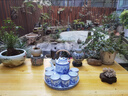 鈺凡茶具套裝家用景德鎮(zhèn)青花瓷陶瓷客廳提梁壺茶杯茶盤大號涼水泡茶壺 溪山泛舟小號壺4杯+托盤簡裝 6件 曬單實拍圖