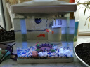森森（SUNSUN）鱼缸水族箱桌面生态金鱼缸玻璃迷你小型客厅懒人免换水家用缸 (高清玻璃)白230+小桥流水景(带20件套) 实拍图