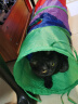 茨格曼 猫隧道猫迷宫钻洞滚地龙通用自嗨猫玩具爬行通道可折叠窝猫咪用品 实拍图