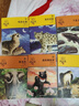 黑熊舞蹈家 升級版 動物小說大王沈石溪品藏書系  小學(xué)生三四五六年級課外兒童文學(xué)書 曬單實(shí)拍圖