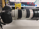佳能/Canon EF 70-200mm 系列 二代小白大白 中長(zhǎng)焦人像防抖全畫幅單反鏡頭 二手鏡頭 EF 70-200 2.8L IS小白防抖 95新 曬單實(shí)拍圖