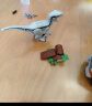 乐高（LEGO）积木侏罗纪世界76946捕捉迅猛龙布鲁和贝塔6岁+儿童玩具生日礼物 实拍图