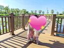 戴維貝拉女童夏裝防蚊褲寶寶洋氣褲子兒童休閑哈倫褲童裝 曬單實拍圖