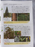 北方樹木/中國常見植物識別叢書 曬單實拍圖