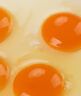 九華粮品 散养土鸡蛋40枚 净重1.6kg 农家柴鸡蛋 笨鸡蛋 礼盒 实拍图