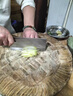 王麻子菜刀切片刀90Cr18Mov高碳復合鋼廚師專(zhuān)用中式桑刀家用斬切刀 2號桑刀 曬單實(shí)拍圖
