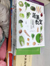 蔬菜教室 正版 內(nèi)田悟著 時(shí)令菜品處理魚(yú)肉類食品加工 日本料理菜譜食譜生活烹飪美食書(shū)籍  后浪 曬單實(shí)拍圖