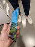 榮耀80 Pro / 80系列 驍龍8+旗艦芯片 AI Vlog視頻大師 1.6億像素超清主攝 全網(wǎng)通5G全新機 冰島幻境【榮耀80se】 12GB+256GB 曬單實拍圖