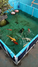 森森森森魚缸變頻水泵大流量潛水泵水族箱抽水泵底濾水泵魚池循環(huán)水泵 120W  靜音 14000L/H+2米25MM管 曬單實(shí)拍圖