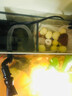 Atman魚缸潛水泵水族魚缸循環(huán)過濾抽水泵AT 304 305增氧家用小型換水泵 創(chuàng)星AT302S+水管一米 曬單實拍圖
