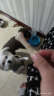 亚禾狗零食磨牙棒混合味270g泰迪比熊小型犬幼犬成犬磨牙洁齿骨棒 实拍图