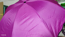 雨傘女折疊晴雨兩用黑膠遇水開花傘定廣告?zhèn)?黑膠遇水開花--粉色 曬單實(shí)拍圖