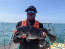 達(dá)億瓦（DAIWA）21款SALTIGA賽爾迪迦IC船釣數(shù)顯慢搖輪抽鐵板鼓輪路亞魚線輪漁輪 21款SALTIGA IC 300H-SJ 右手型 曬單實(shí)拍圖