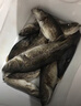 BKUMAN超遠投死飛懸浮米諾釣翹嘴淡水專(zhuān)殺海釣鱸魚(yú)紅尾假魚(yú)餌仿真路亞餌 紅頭銀身【一條裝 】帶死飛/誘音 12g（懸浮米諾） 曬單實(shí)拍圖
