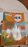 【新華書店正版】適用2025新版小學閩教版5五年級上冊英語書課本教材教科書5上英語閩教版（三起點）五年級英語書上冊人教版五上英語閩教版5年級英語上冊課本上冊福建教育出版社閩教版五上英語 曬單實拍圖