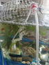 創(chuàng  )寧金魚(yú)缸養魚(yú)充氧泵安靜 增氧氣泵 制氧沖氧打氧加氧泵 氧氣棒 3.5W【裸泵，無(wú)配件】 曬單實(shí)拍圖