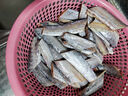 果匯堂帶魚段舟山小眼帶魚新鮮海捕東海刀魚特大帶魚段中段 5斤大段 中段 曬單實拍圖