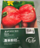 寿禾 毛粉沙瓤番茄种子西红柿春季蔬菜种籽 潍育粉冠大番茄种子100粒 实拍图