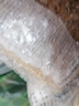 歐緹娜意大利面幼身意粉原裝進(jìn)口意式面條組合家用螺絲粉通心粉牛排意面 原裝進(jìn)口螺絲面500g*5包 曬單實(shí)拍圖