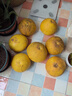 【現貨】重慶梁平麻柚子 平頂柚梁山蜂蜜柚特產(chǎn)新鮮水果白心柚子 【大果】20斤(8個(gè)) 新鮮現摘-產(chǎn)地直發(fā) 曬單實(shí)拍圖
