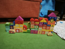 QZMEDU66粒大颗粒积木玩具城市积木拼插儿童早教玩具生日礼物 实拍图