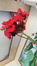 完達(dá)山（wondersun）菁潤(rùn)1段嬰兒配方羊奶粉1段(0-6個(gè)月適用)菁潤(rùn)一段羊奶粉罐裝 1罐800g 1罐800g 曬單實(shí)拍圖