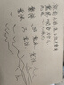 日本進(jìn)口pilot百樂(lè )筆p500黑筆中性筆學(xué)生考試專(zhuān)用水筆黑色 P500 黑色6支 曬單實(shí)拍圖