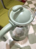 紫丁香 冷水壶耐热玻璃凉水壶带把家用果汁壶热饮茶具泡茶壶 大容量2.4L 实拍图