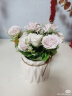 盛世泰堡 仿真花假花束盆绢花装饰花艺陶瓷小花瓶客厅装饰摆件 淡紫色玫瑰 实拍图
