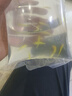 卡奇魚(yú) 小型熱帶魚(yú) 斑馬魚(yú) 群游燈科魚(yú) 卵生魚(yú) 觀(guān)賞魚(yú) 淡水魚(yú)好養耐活魚(yú) 蘋(píng)果綠斑馬10條 曬單實(shí)拍圖