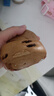 安井 手撕紅糖饅頭家庭早餐冷凍速食早點(diǎn)營(yíng)養包子手撕粗糧早茶糕點(diǎn) 手撕紅糖饅頭510g*2包【約12只】 曬單實(shí)拍圖