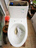 科勒（KOHLER） 馬桶分體坐便器連體坐便器五級(jí)旋風(fēng)虹吸28866/22746 28866T齊悅連體座便器305mm 曬單實(shí)拍圖