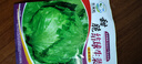 京研生菜種子結球脆葉水培菜種籽意大利羅馬直立玻璃奶油生菜蔬菜籽孑 京研意大利生菜1克1袋 曬單實(shí)拍圖