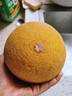 京果怡人新疆吐魯番黃皮哈蜜瓜 2顆/4顆裝 應當季新鮮水果脆甜黃金蜜瓜 2顆 【JD送上門(mén)】 曬單實(shí)拍圖