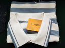 龍牙2024新款龍牙隱之冰斕COOLMAX色織短袖POLO春夏舒適百搭條紋衫 藍白條紋 170/92A 曬單實(shí)拍圖
