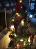 蒂诗卡 圣诞树圣诞装饰品圣诞节礼物小型套餐高档商场布置豪华加密型 90cm圣诞树+栅栏+树裙+灯串 实拍图