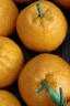 生活＆好管家四川丑橘不知火新鲜水果桔橘子丑柑丑八怪整箱 (80-85)大果带箱5斤(净重4.5+) 实拍图