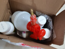達克芙 DARKF殺蚊子滅蟑螂神器跳蚤螞蟻白蟻藥家用室內(nèi)戶外下水道殺蟲劑臭蟲藥 （推薦）3瓶500毫升+大噴壺量杯手套說明書 曬單實拍圖