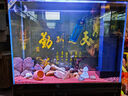 吉印三湖慈鯛魚燈鯛魚觀賞魚專用發(fā)色燈藍色增艷專業(yè)防水燈led燈顯色 56cm 功率16W適用56-68cm缸 曬單實拍圖