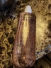 碧歐泉（BIOTHERM）女士潤漾柔膚水 400ml 曬單實拍圖