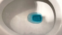 威猛先生（Mr Muscle） 洁厕宝38g*10块 柠檬香型 蓝泡泡洁厕块 厕所马桶清洁祛垢除异味 实拍图
