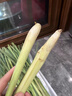 香茅草新鮮檸檬草香料食用奶茶店泡茶烤魚(yú)調料泰國冬陰功湯料原料 250g 曬單實(shí)拍圖